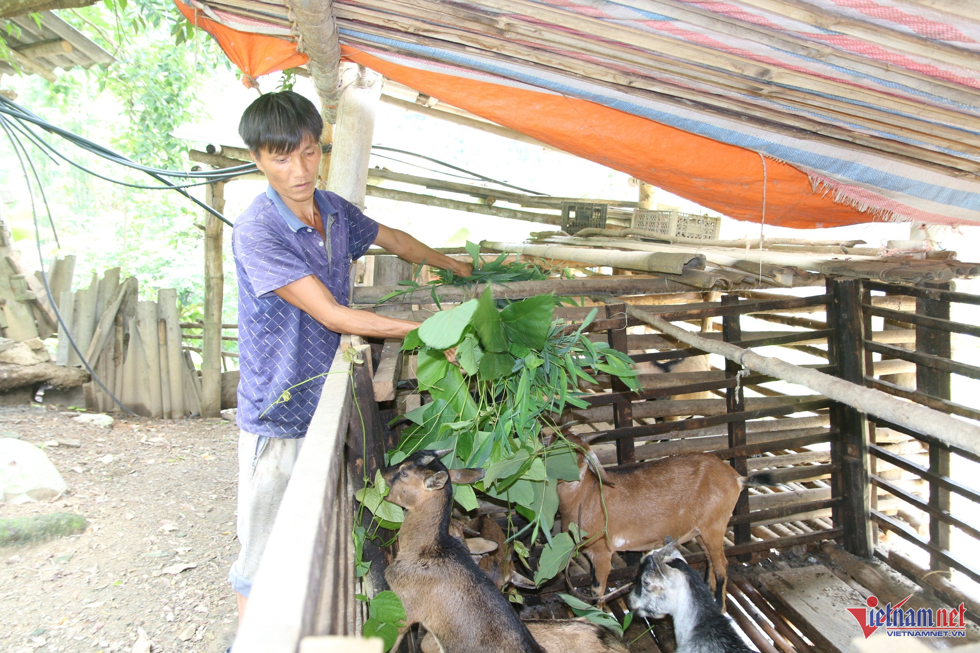 W-Sinh kế 2.jpg