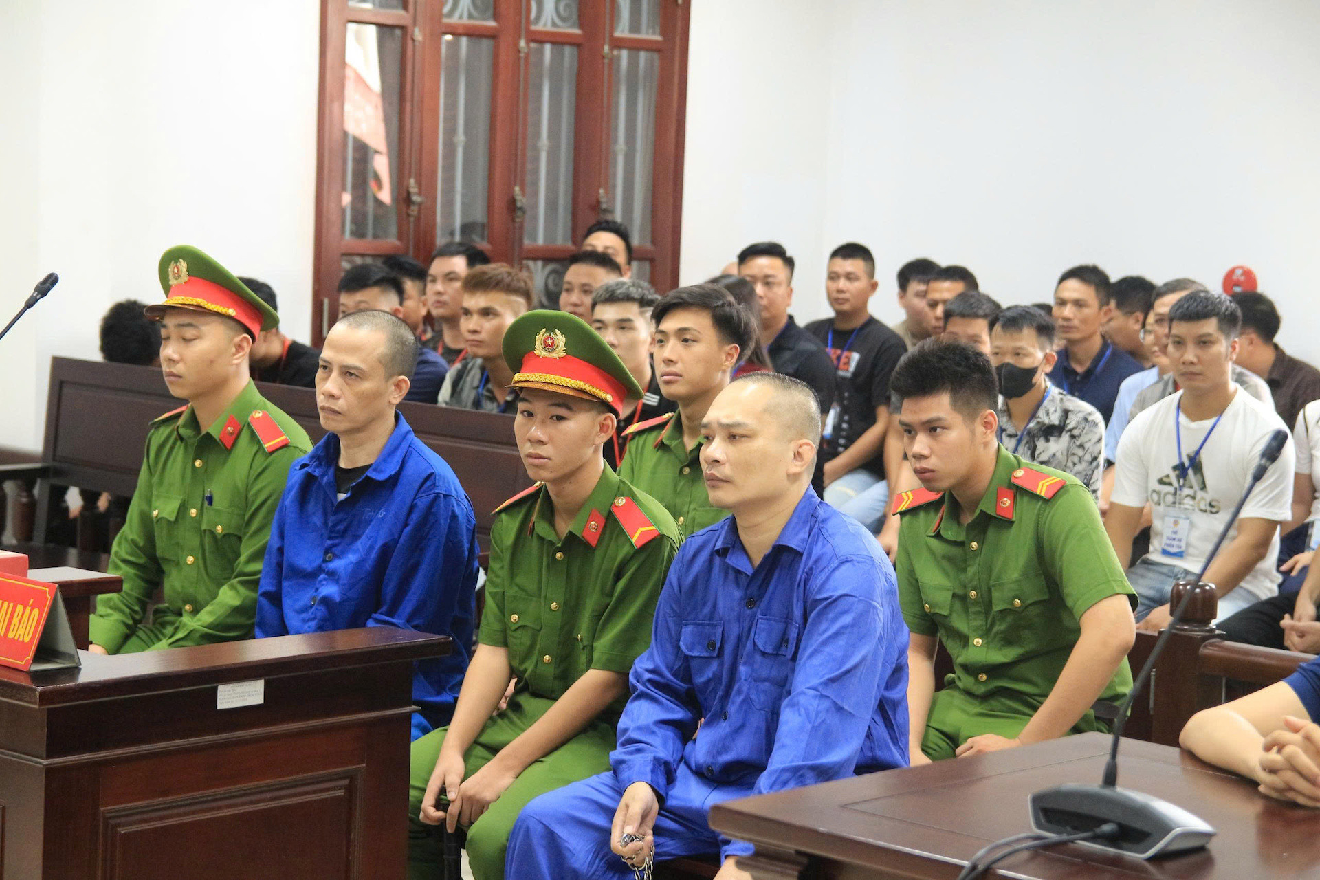 Tiến bịp 1.jpeg
