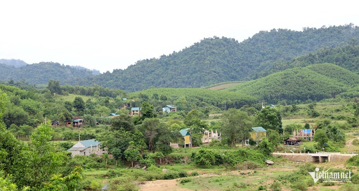 W-ảnh 3.JPG.jpg