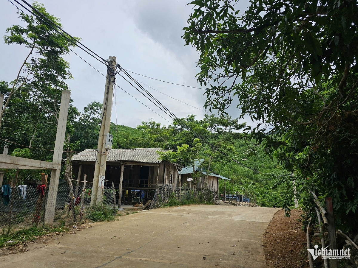 W-ảnh 8.jpg