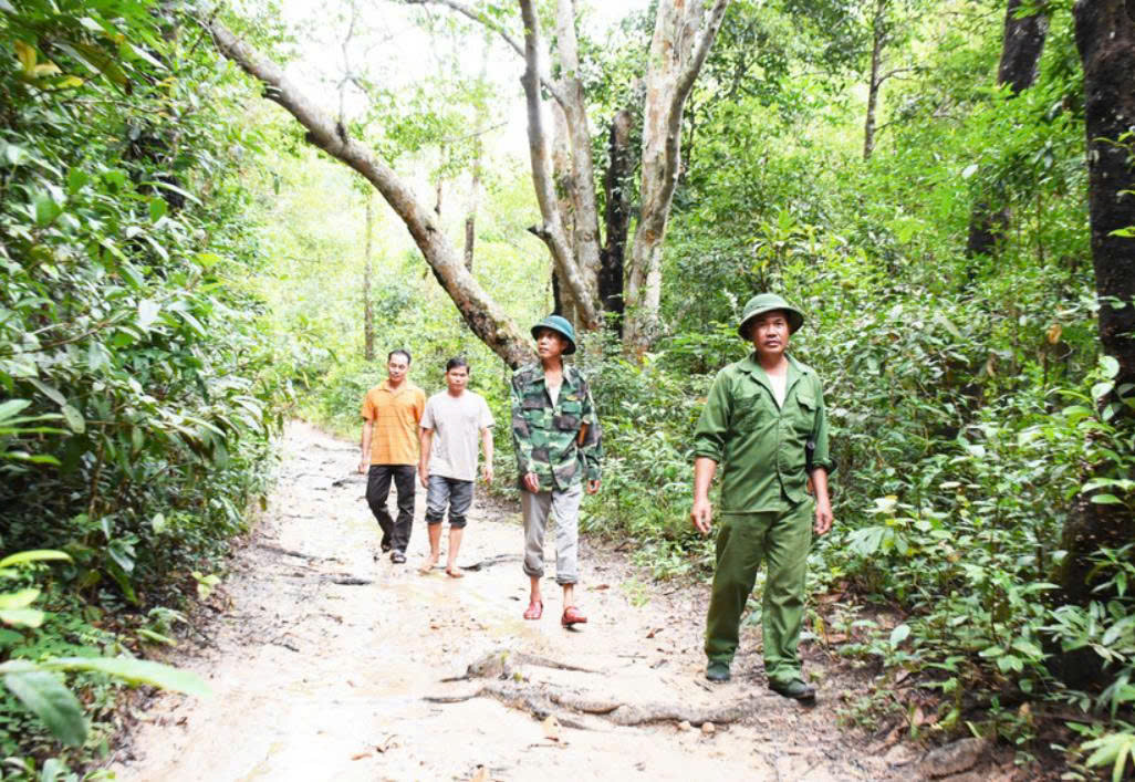 Bảo vệ rừng 1.jpg