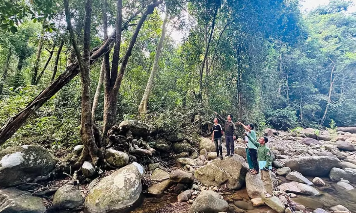 Bảo vệ rừng 2.png
