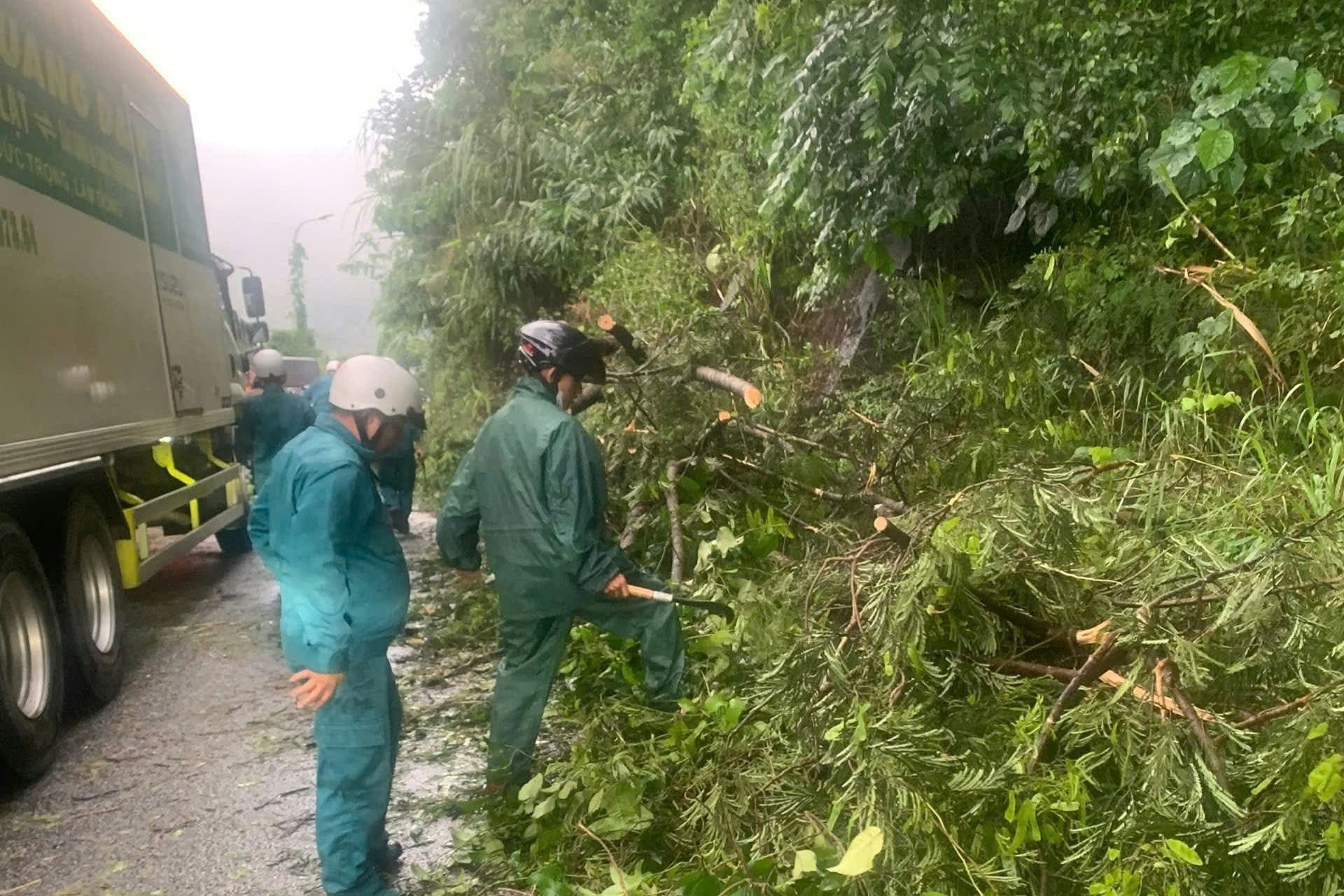 Mưa lớn, nhiều cây rừng ngã đổ chắn ngang đèo Bảo Lộc