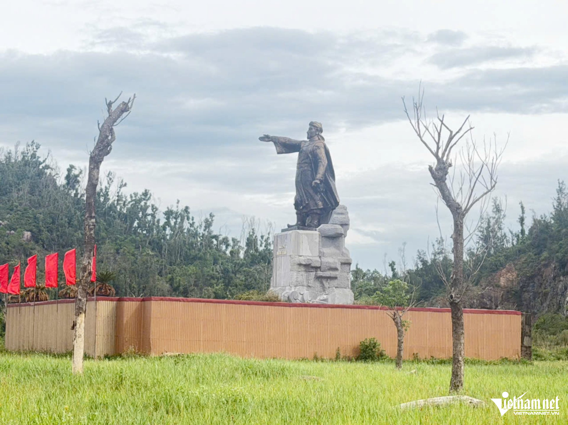 W-a cây mai hắc đế.jpg