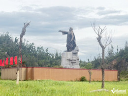 W-a cây mai hắc đế.jpg
