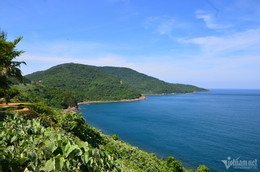 w bd son tra 1 1 777 2908.jpg