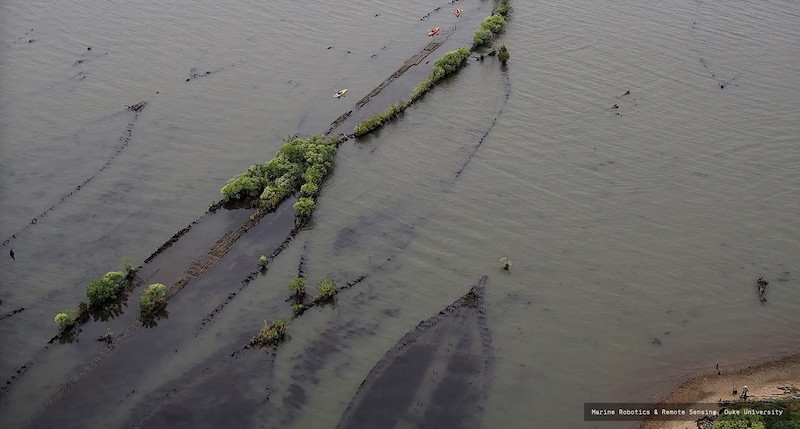 Ảnh Marine Robotics & Remote Sensing, Duke University