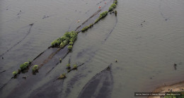 Ảnh Marine Robotics & Remote Sensing, Duke University