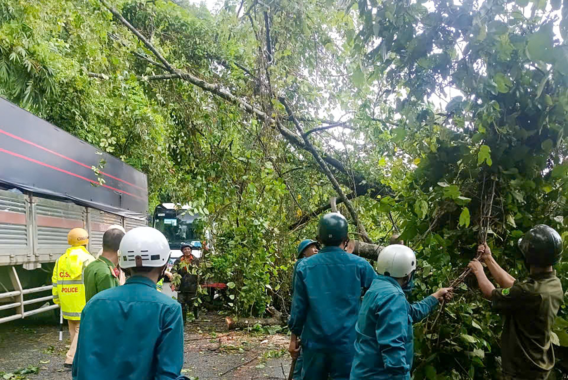 Đèo Bảo Lộc   1.jpg