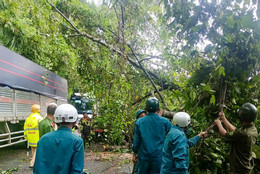 Đèo Bảo Lộc 1.jpg