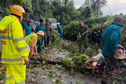 Đèo Bảo Lộc 3.jpg