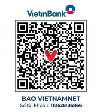 https://static-images.vnncdn.net/vps_images_publish/000001/000003/2026/8/9/vt-213-anh-manh-1619.jpg