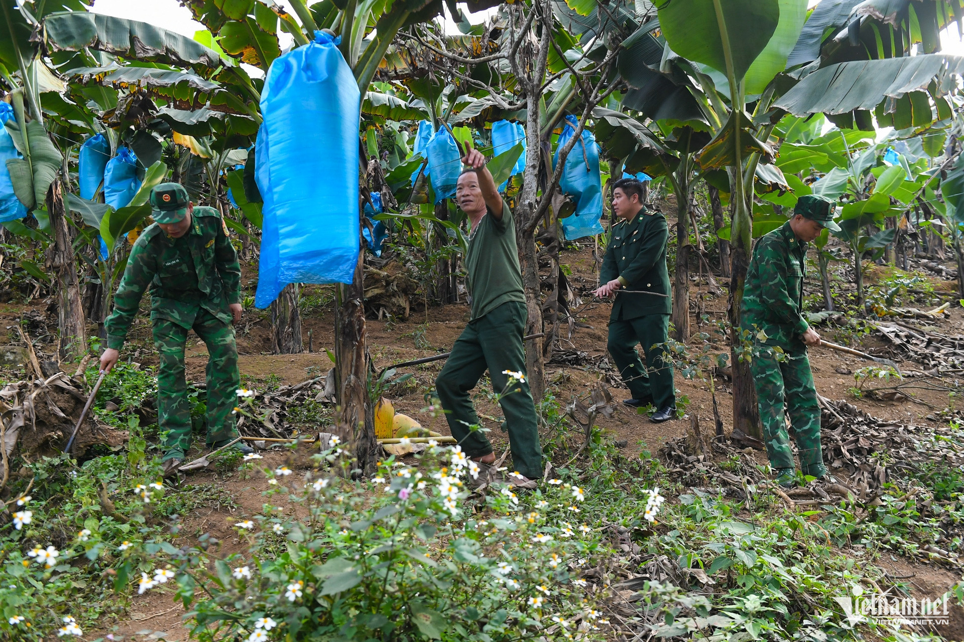 W-dttg   mien nui   bien phong (15).jpg