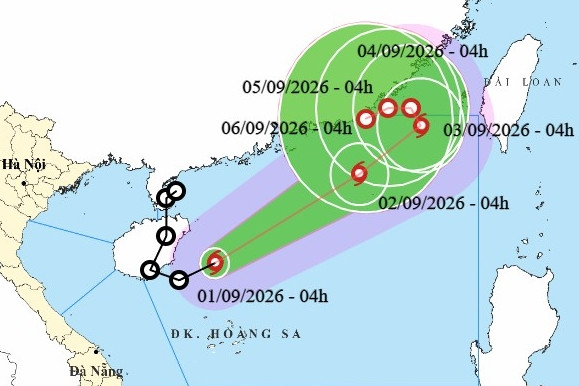 Bão Saudel ‘tái sinh’, trở thành bão số 5 trên Biển Đông