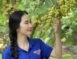 Chùm ruôt 15.jpg