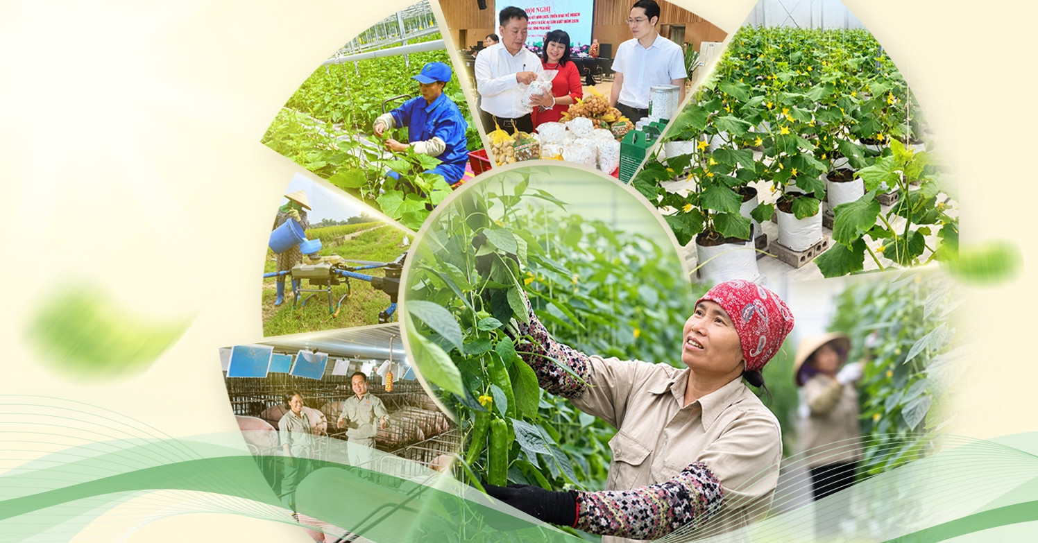 Hải Phòng: Từ chiếc điện thoại của người nông dân đến cánh đồng biết ‘nói’