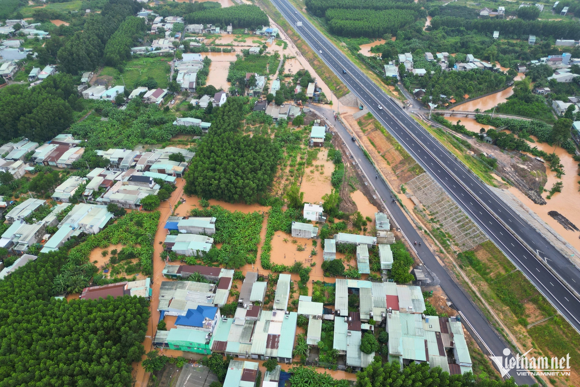 W-ngap phuoc tan 1.jpg