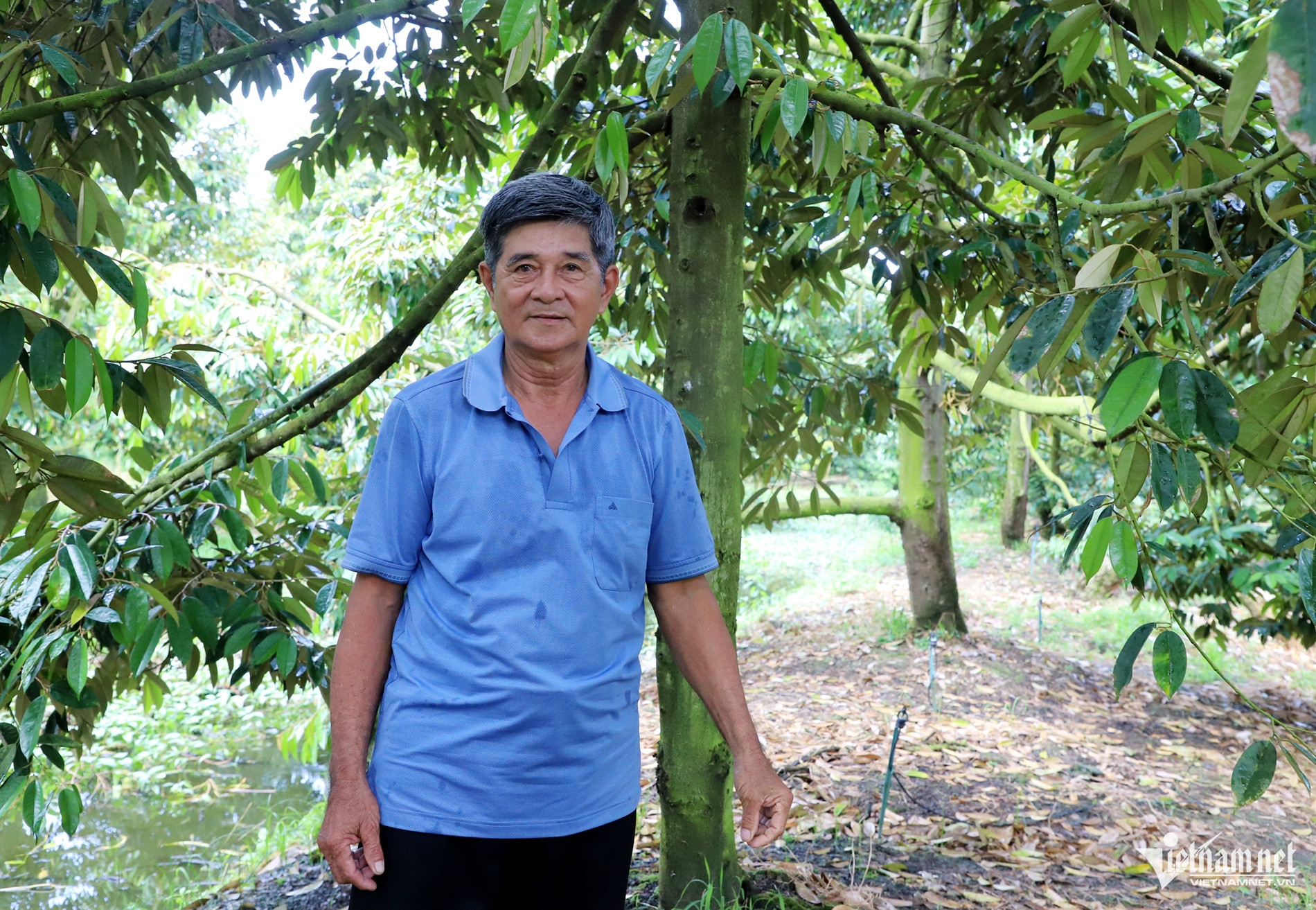 W-Tỷ phú 4.jpg