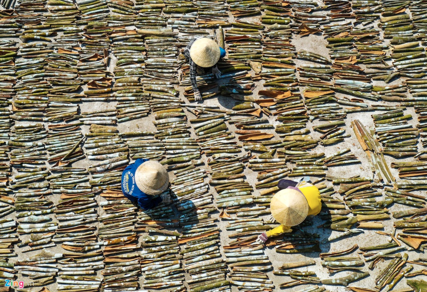 xuat khau que