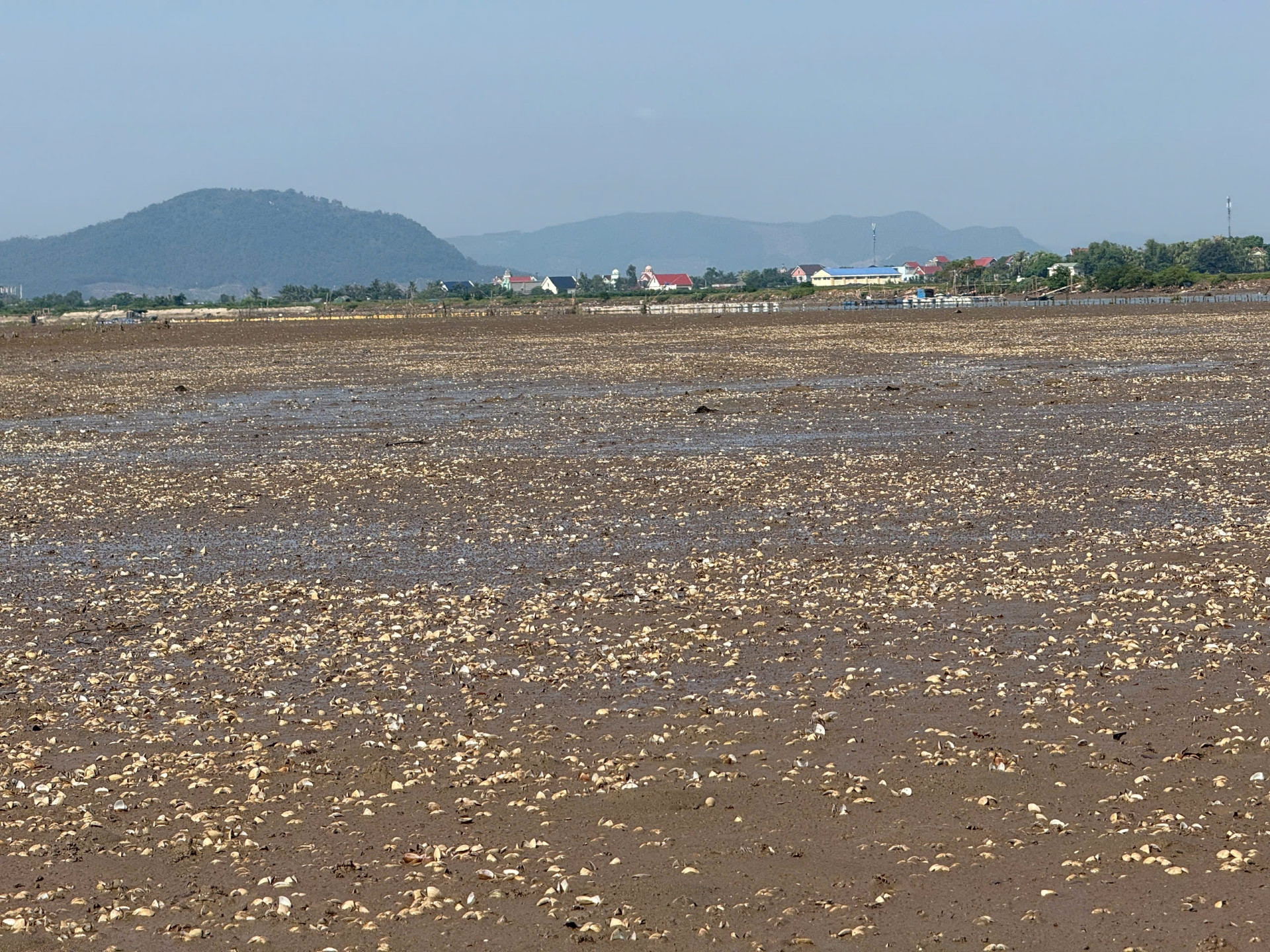 Báo VietnamNet