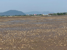 Báo VietnamNet
