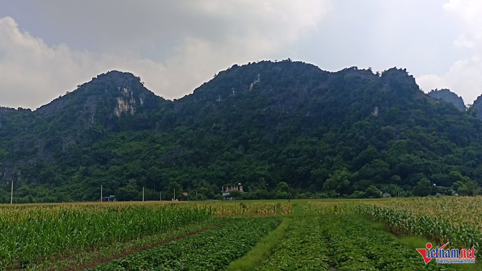 W-Trống đồng 5.jpg