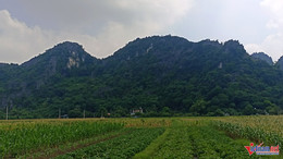 W-Trống đồng 5.jpg