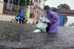 mua lon da nang Ho Giap.jpg