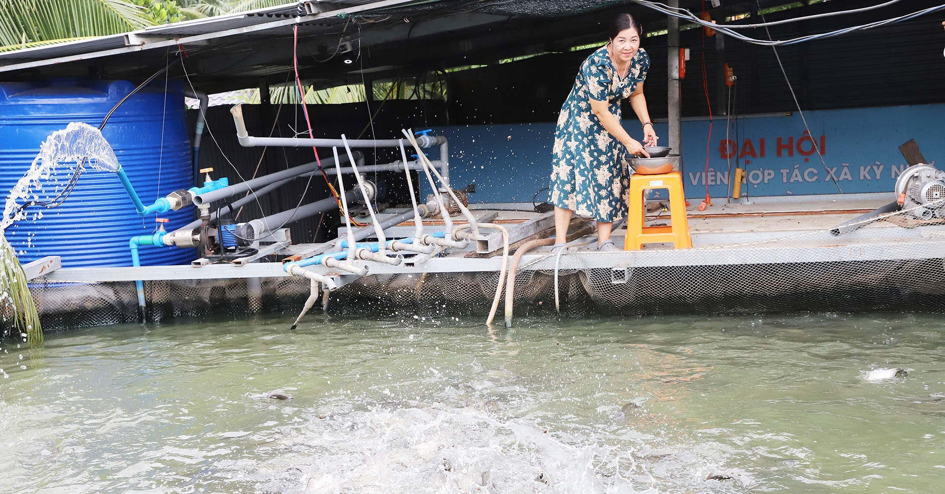 Báo VietnamNet