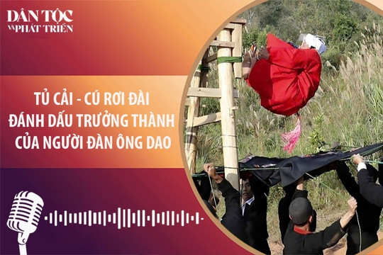 Tủ cải - Cú rơi đài đánh dấu trưởng thành của người đàn ông Dao