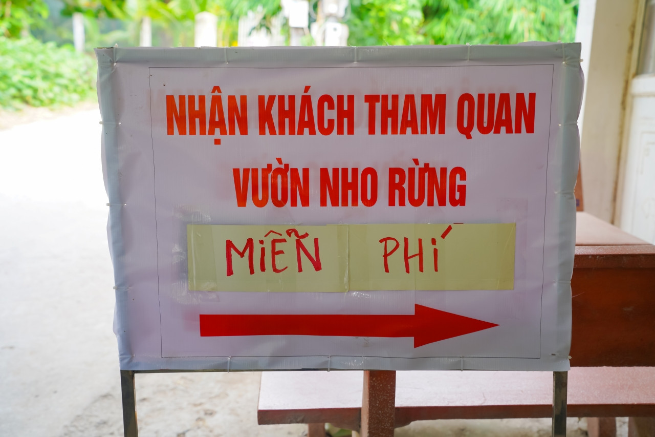 https://static-images.vnncdn.net/vps_images_publish/000001/000003/2026/9/14/vuon-nho-51-2421.jpg