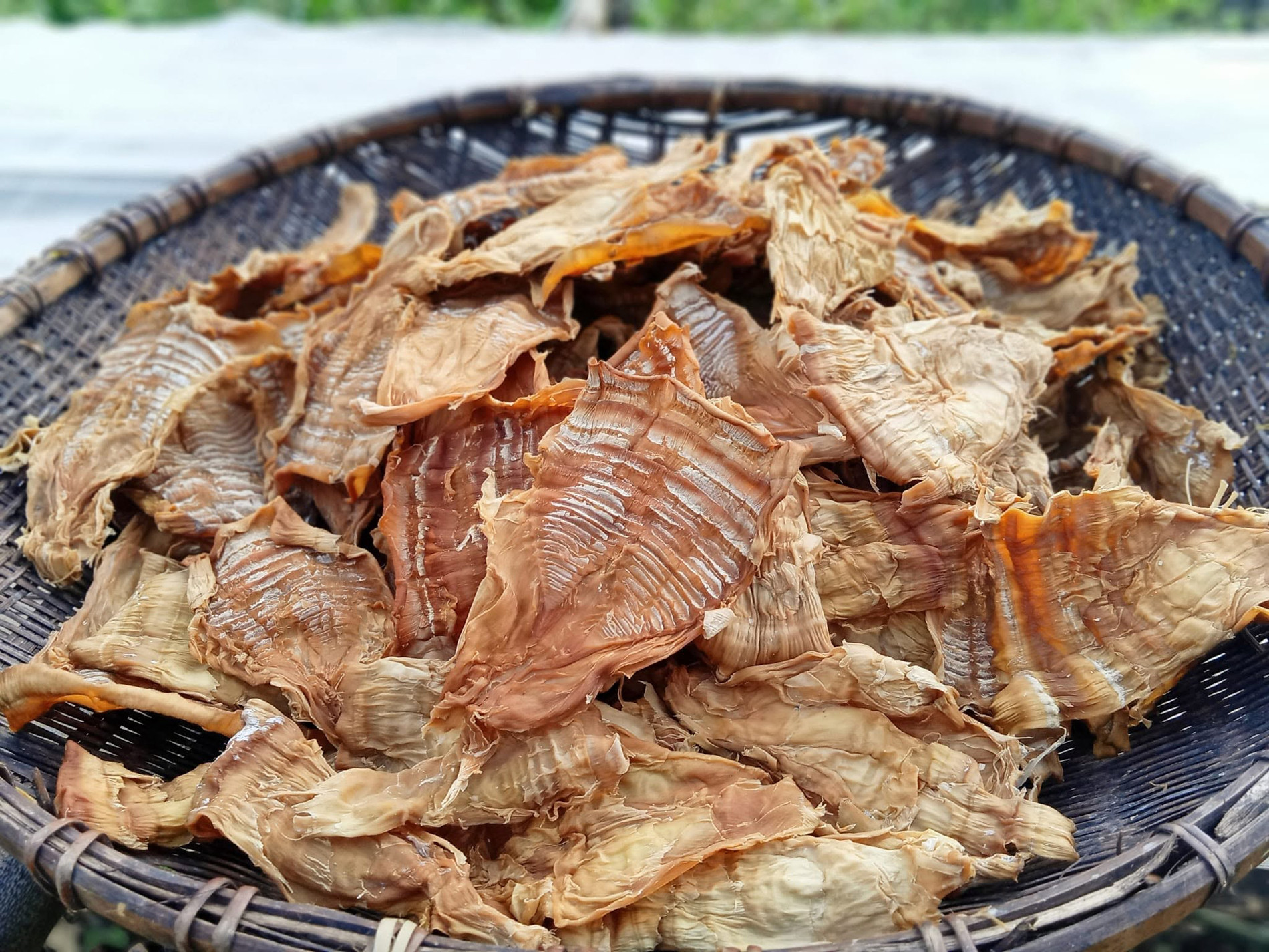 dung ma thi.jpg