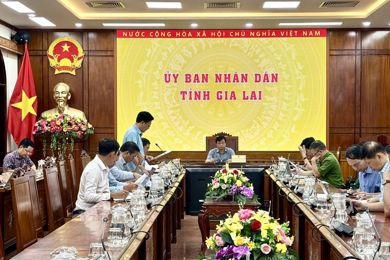 Gia Lai tăng tốc số hóa, làm sạch dữ liệu hơn 3,19 triệu thửa đất