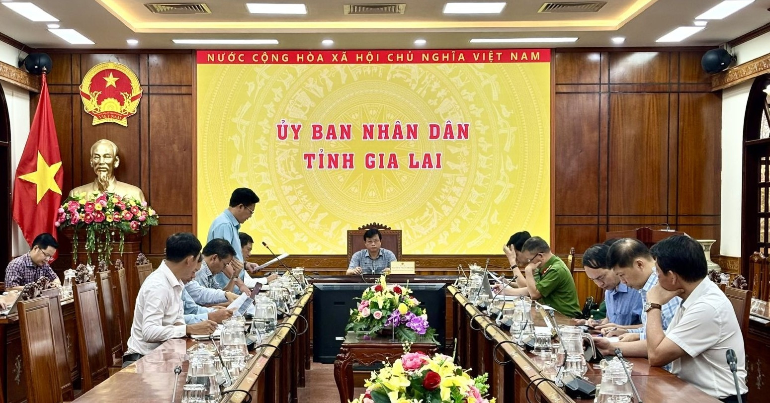 Gia Lai tăng tốc số hóa, làm sạch dữ liệu hơn 3,19 triệu thửa đất