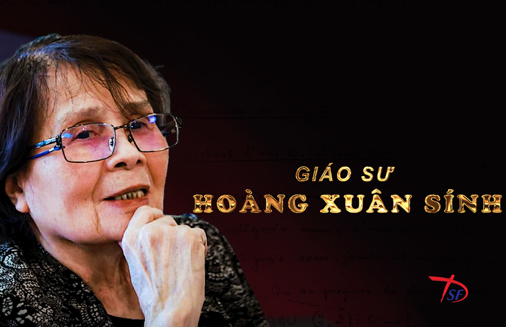 Nữ giáo sư Toán học đầu tiên của Việt Nam là ai?