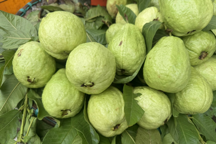 5 lý do bệnh nhân đái tháo đường nên ăn ổi nhiều hơn