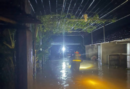 quỳnh văn.jpeg