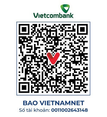 https://static-images.vnncdn.net/vps_images_publish/000001/000003/2026/9/16/vc-250-tu-va-quynh-anh-2930.jpg