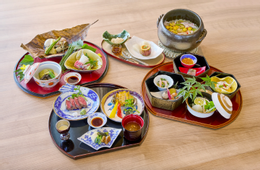 https://static-images.vnncdn.net/vps_images_publish/000001/000003/2026/9/16/vienduonglao8-668.png