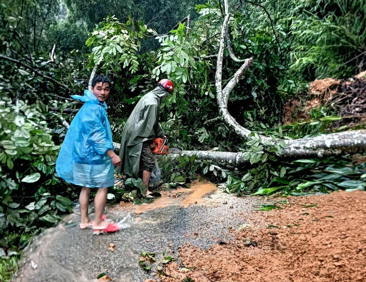 a3hàng nghìn khối đất chắn ngang.jpg