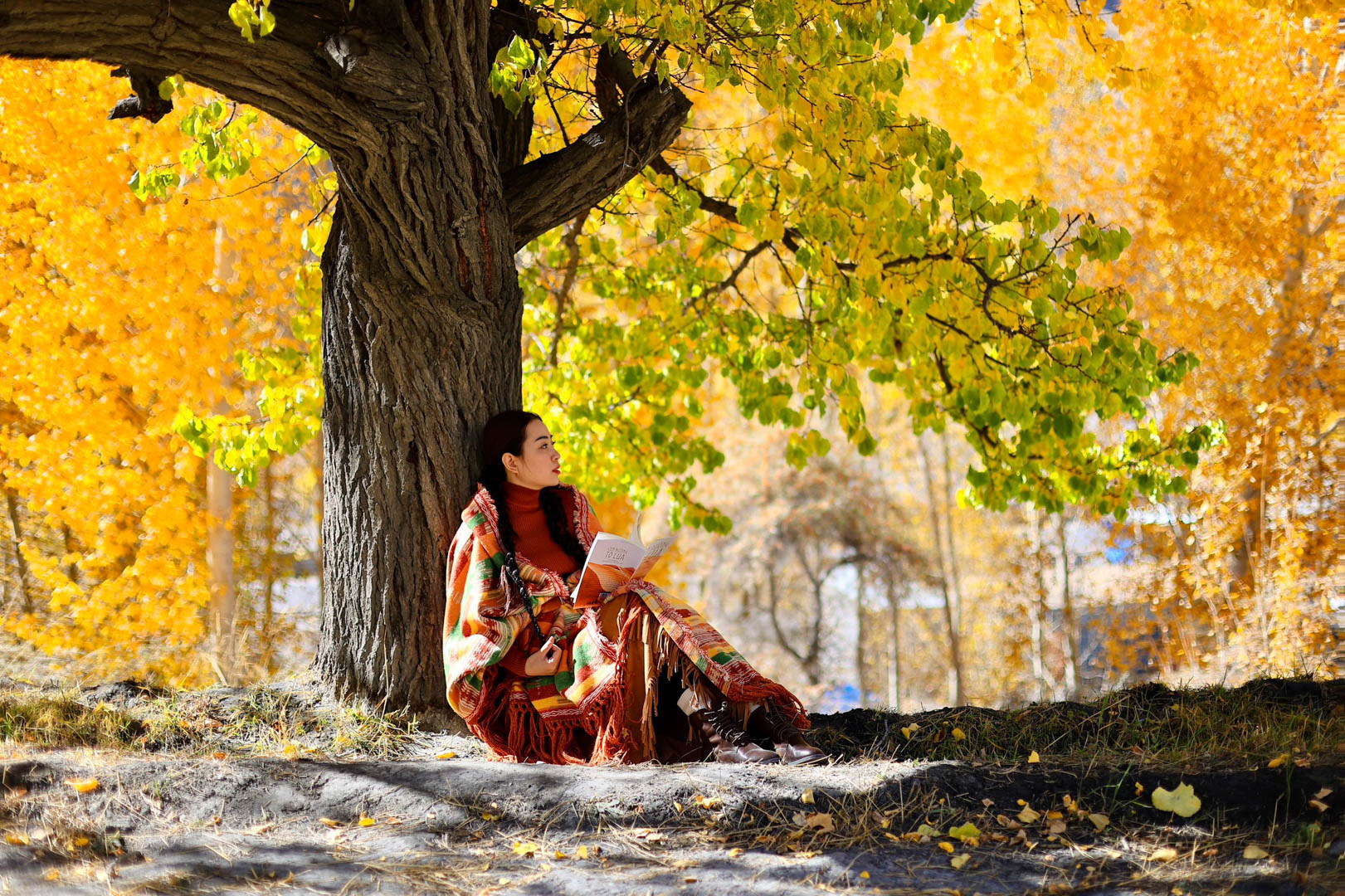 du lich pakistan 10 1679.jpg