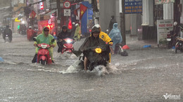 mua giong TPHCM Sang.jpg