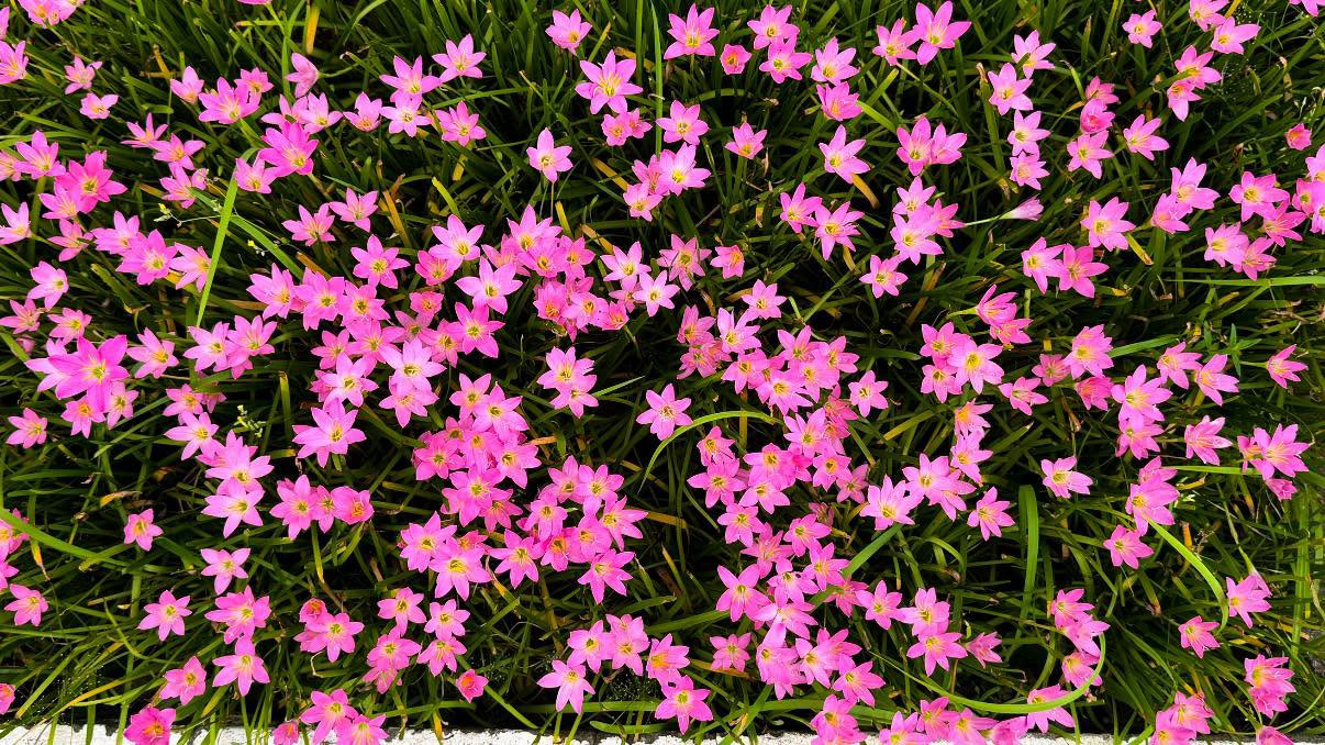 https://static-images.vnncdn.net/vps_images_publish/000001/000003/2026/9/17/quynh20-4101.jpeg