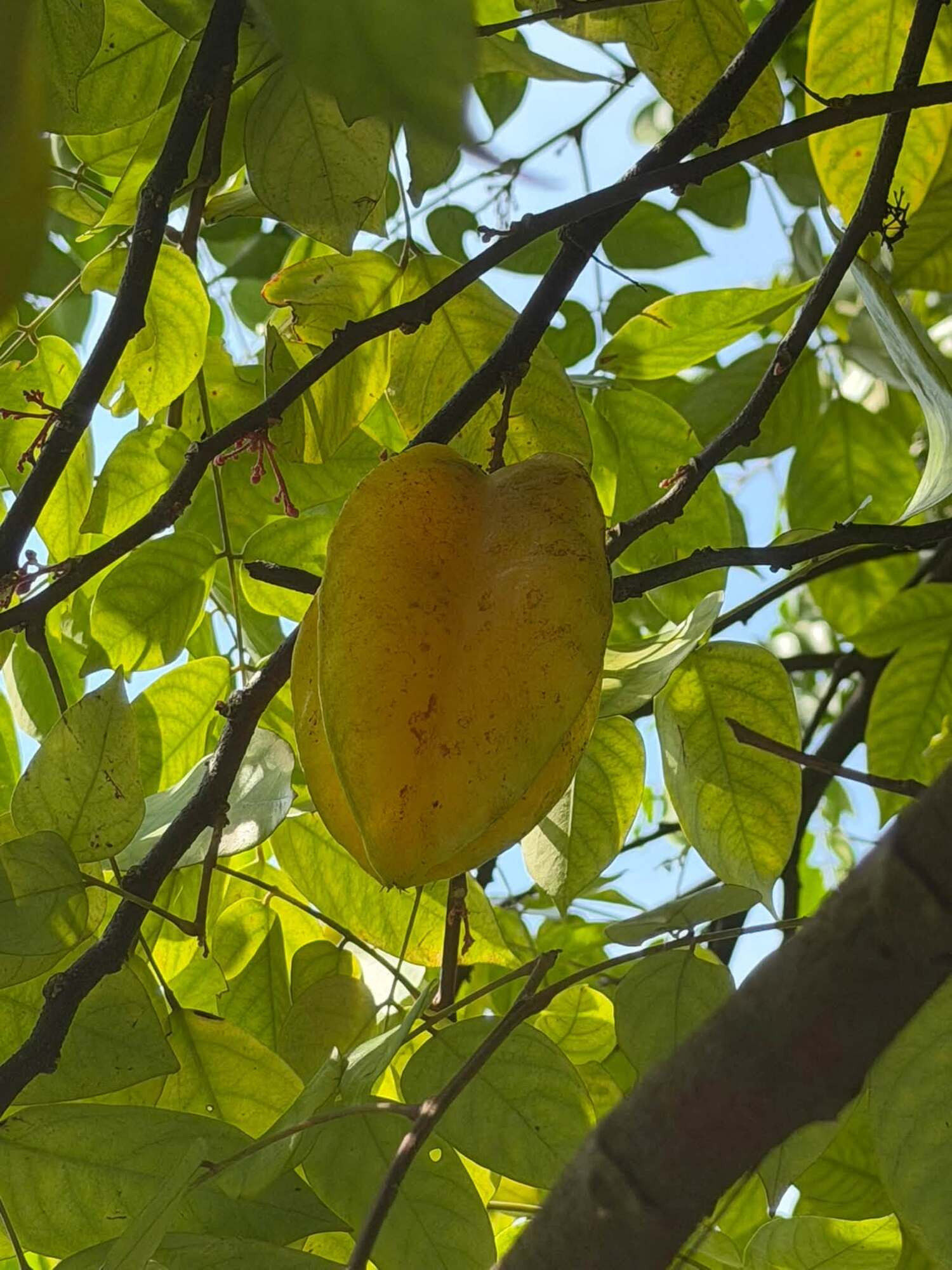 https://static-images.vnncdn.net/vps_images_publish/000001/000003/2026/9/17/quynh4-4105.jpeg