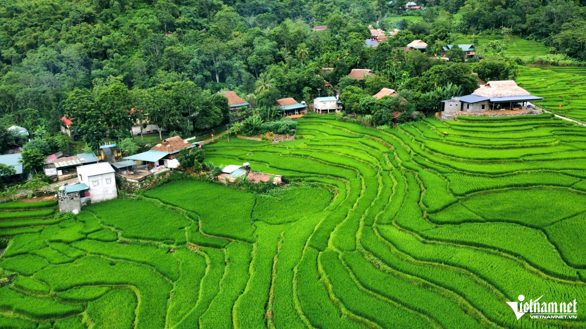 W-a1Nếp nhà sàn truyền thống thành điểm.jpg