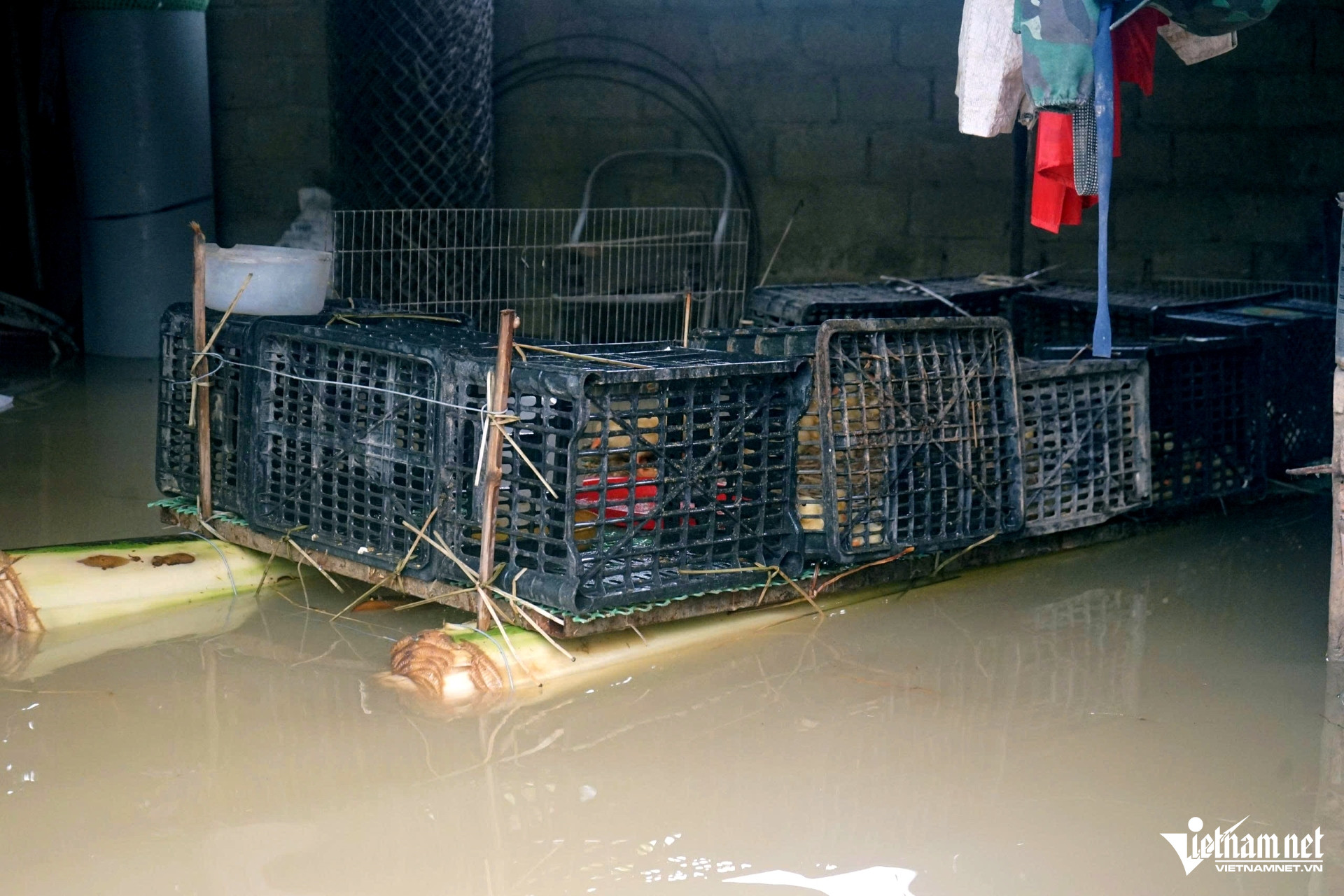 W-a3Phát lệnh Báo động III trên sông.jpg