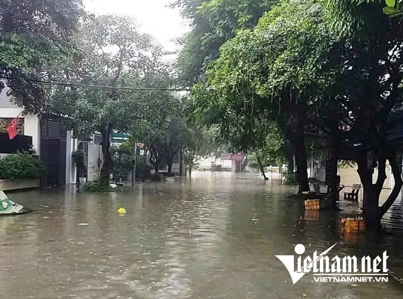 W-Phù Vân.jpg