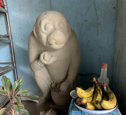 anh 999999.jpg