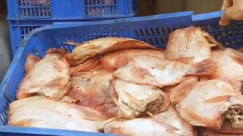 Kết quả thanh tra hàng loạt bếp ăn trường học sau vụ thịt bẩn