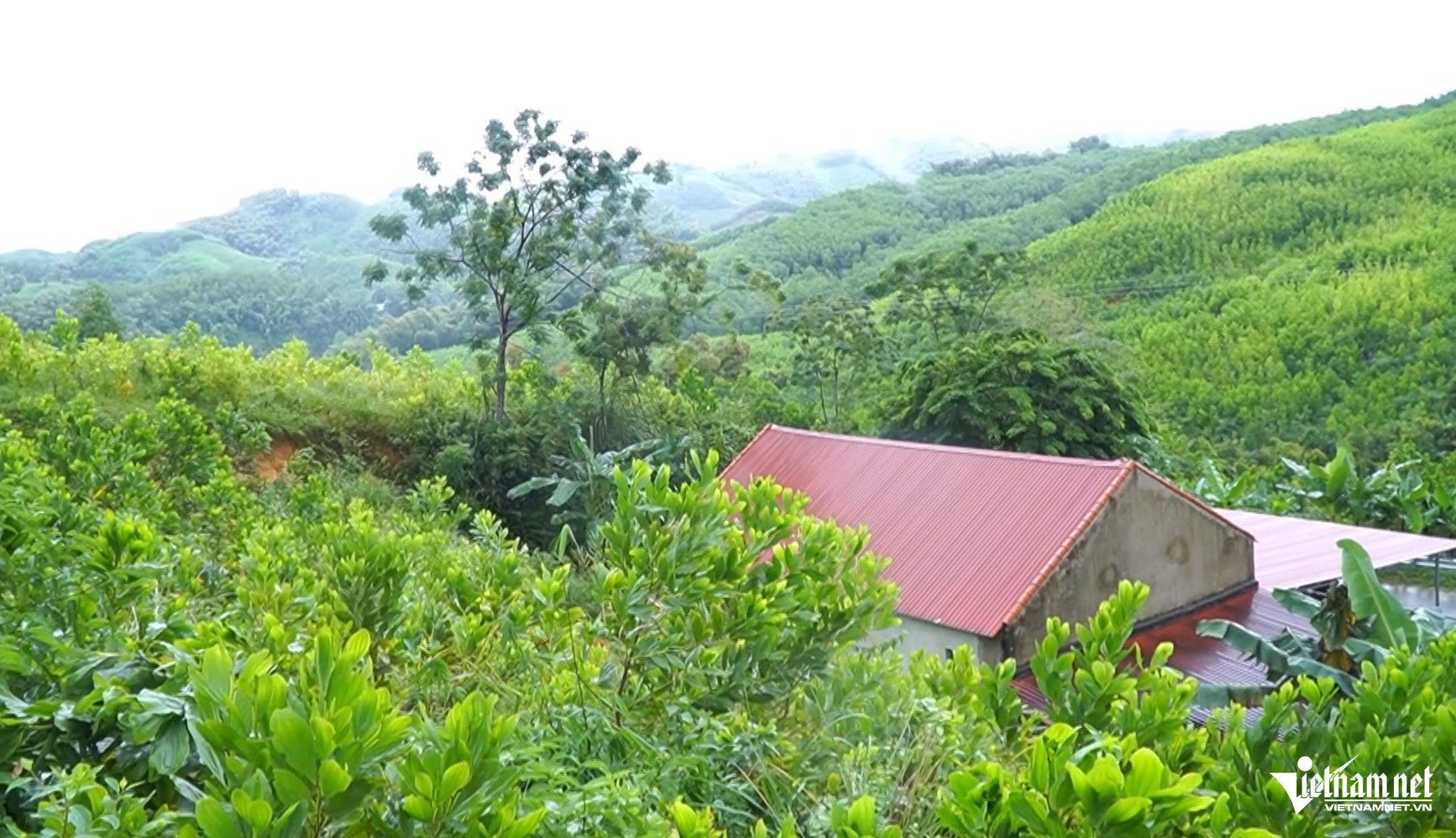 W-b2Vết nứt dài 200m từ trên sườn đồi.jpg